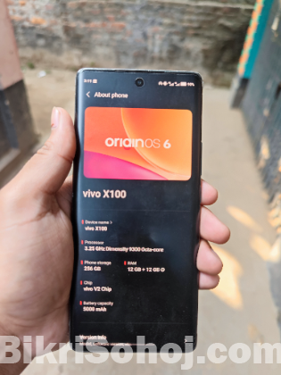 Vivo X100 (Global) 12/256